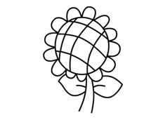 向日葵簡筆畫包含步驟畫法