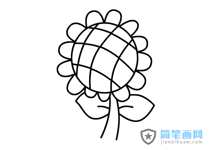 向日葵簡筆畫包含步驟畫法