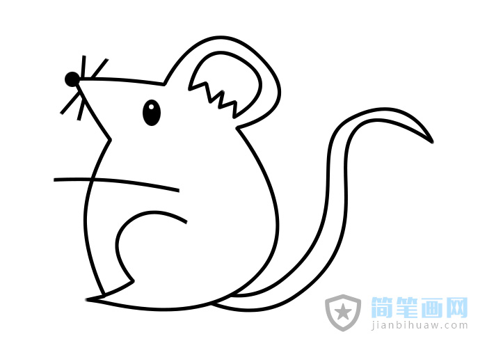 老鼠簡筆畫的畫法步驟及上色圖片