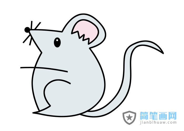 老鼠簡筆畫的畫法步驟及上色圖片
