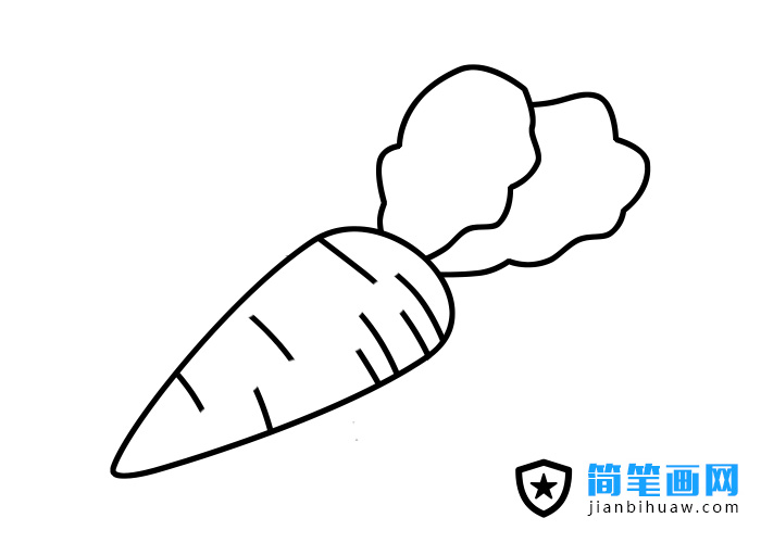 胡蘿卜的簡筆畫畫法和分解步驟