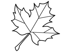 ~(jin)P(hu)DƬֽⲽE