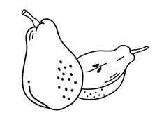 梨子簡筆畫圖片