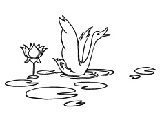 水中的大鵝簡(jiǎn)筆畫(huà)圖片