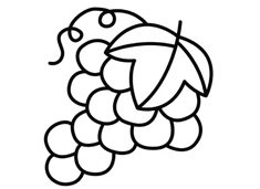 葡萄簡筆畫圖片