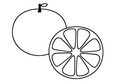 橘子簡(jiǎn)筆畫圖片