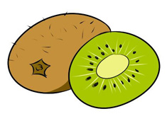 獼猴桃簡(jiǎn)筆畫上色圖片