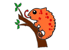 樹枝上的變色龍簡筆畫圖片