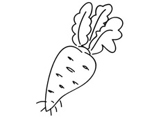 簡單胡蘿卜簡筆畫圖片