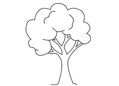 大樹的簡筆畫畫法圖片