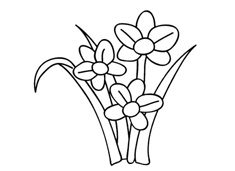 花卉水仙花簡筆畫圖片