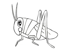 兒童蟈蟈簡筆畫圖片