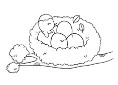 鳥窩簡(jiǎn)筆畫圖片含上色