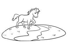 СR^(gu)Ӻ(jin)P(hu)DƬɫ