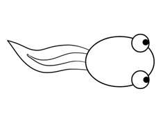 С򽺆(jin)P(hu)DƬɫ