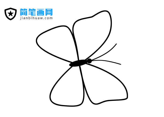 花蝴蝶簡筆畫圖片包含分解步驟和上色