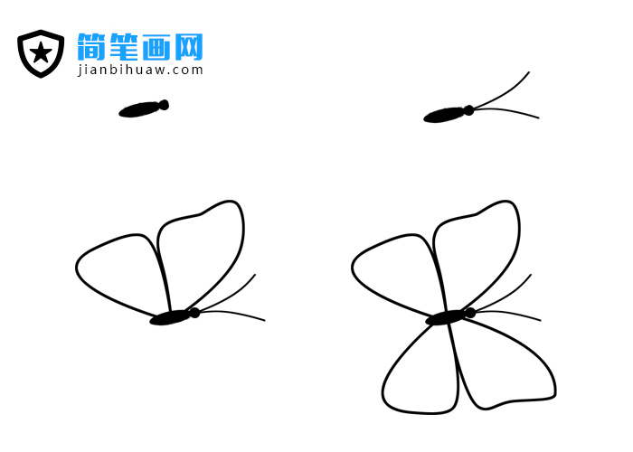 花蝴蝶簡筆畫圖片包含分解步驟和上色