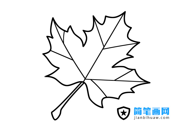 楓葉簡筆畫圖片含分解步驟