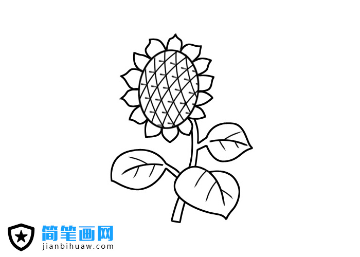 兒童簡筆畫向日葵圖片