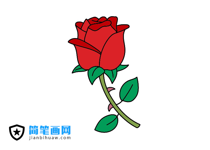 漂亮的玫瑰花簡筆畫圖片含上色