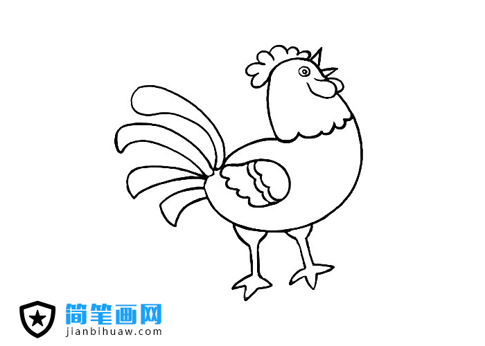 大公雞簡(jiǎn)筆畫圖片