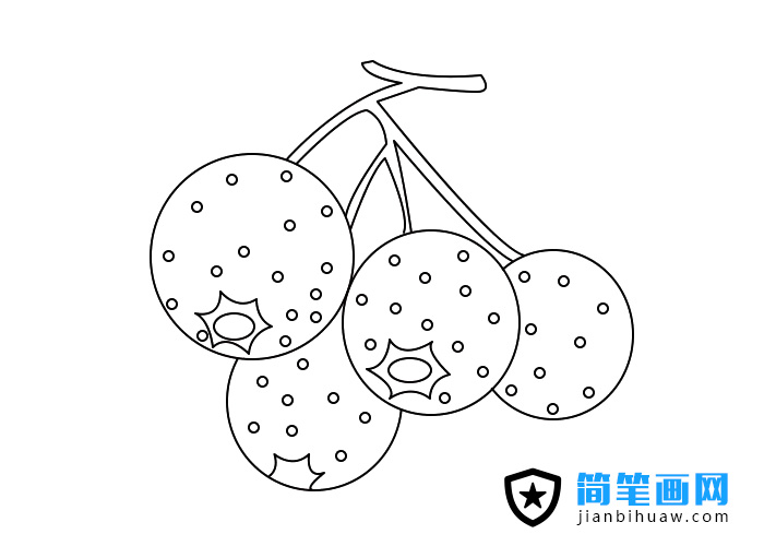 山楂簡(jiǎn)筆畫圖片上色