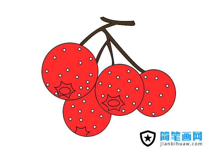山楂簡(jiǎn)筆畫圖片上色