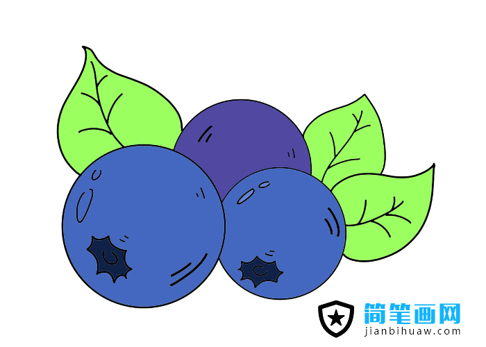 藍(lán)莓簡(jiǎn)筆畫(huà)圖片含上色