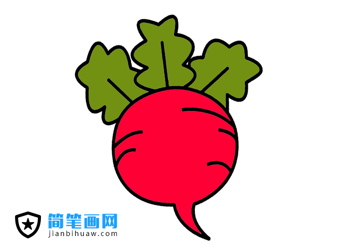 蘿卜簡筆畫圖片含上色