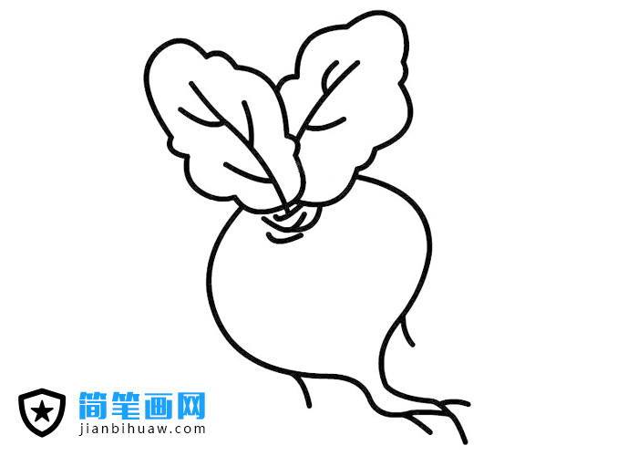 美味的紅皮大蘿卜簡筆畫圖片