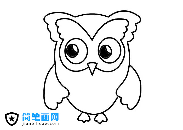 卡通貓頭鷹簡筆畫圖片
