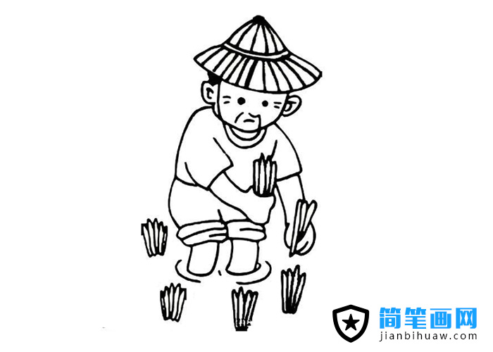 農(nóng)民伯伯插秧的簡筆畫圖片