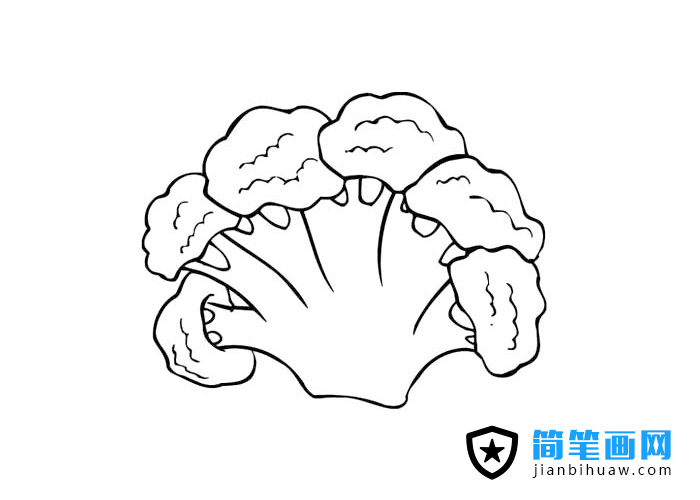 花菜菜花簡筆畫圖片