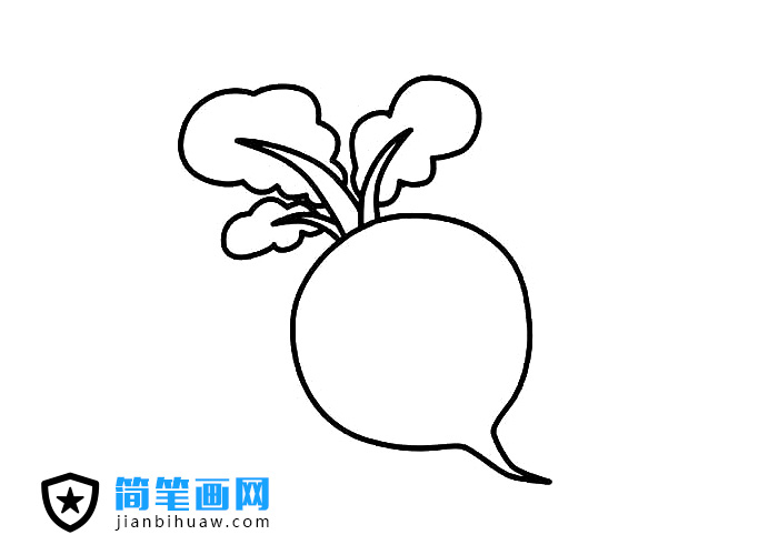 簡單的蘿卜簡筆畫圖片