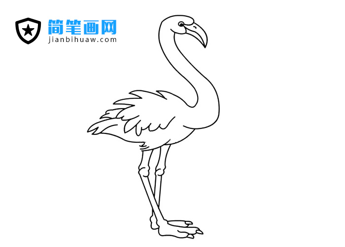 火烈鳥(niǎo)簡(jiǎn)筆畫(huà)圖片
