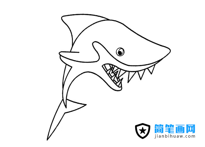 滿嘴獠牙的鯊魚簡筆畫圖片
