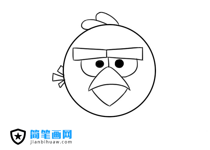 憤怒的小鳥簡(jiǎn)筆畫圖片含上色